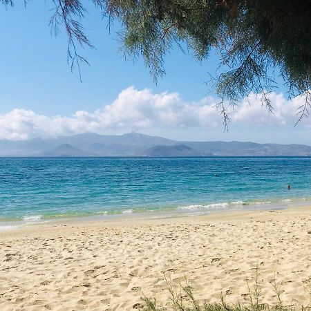 Naxos City Taki'S Guests Bed & Breakfast エクステリア 写真