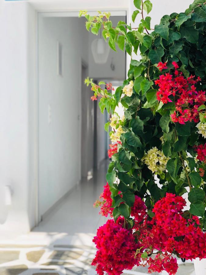 Naxos City Taki'S Guests Bed & Breakfast エクステリア 写真