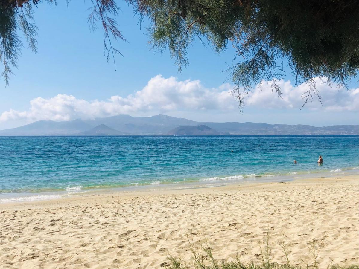 Naxos City Taki'S Guests Bed & Breakfast エクステリア 写真